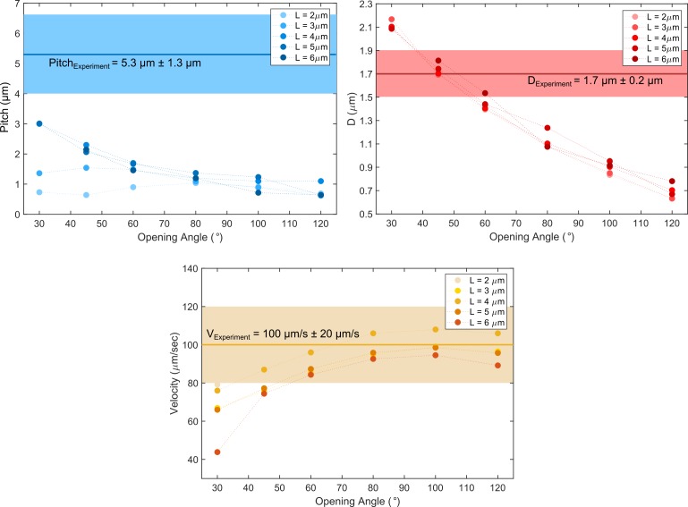 Figure 5—figure supplement 2.