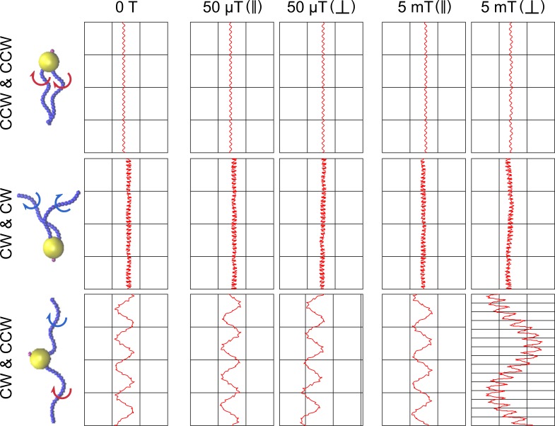 Figure 5—figure supplement 6.