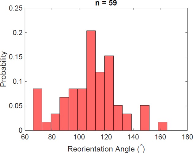 Figure 5—figure supplement 4.