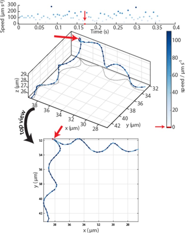 Figure 1—figure supplement 3.