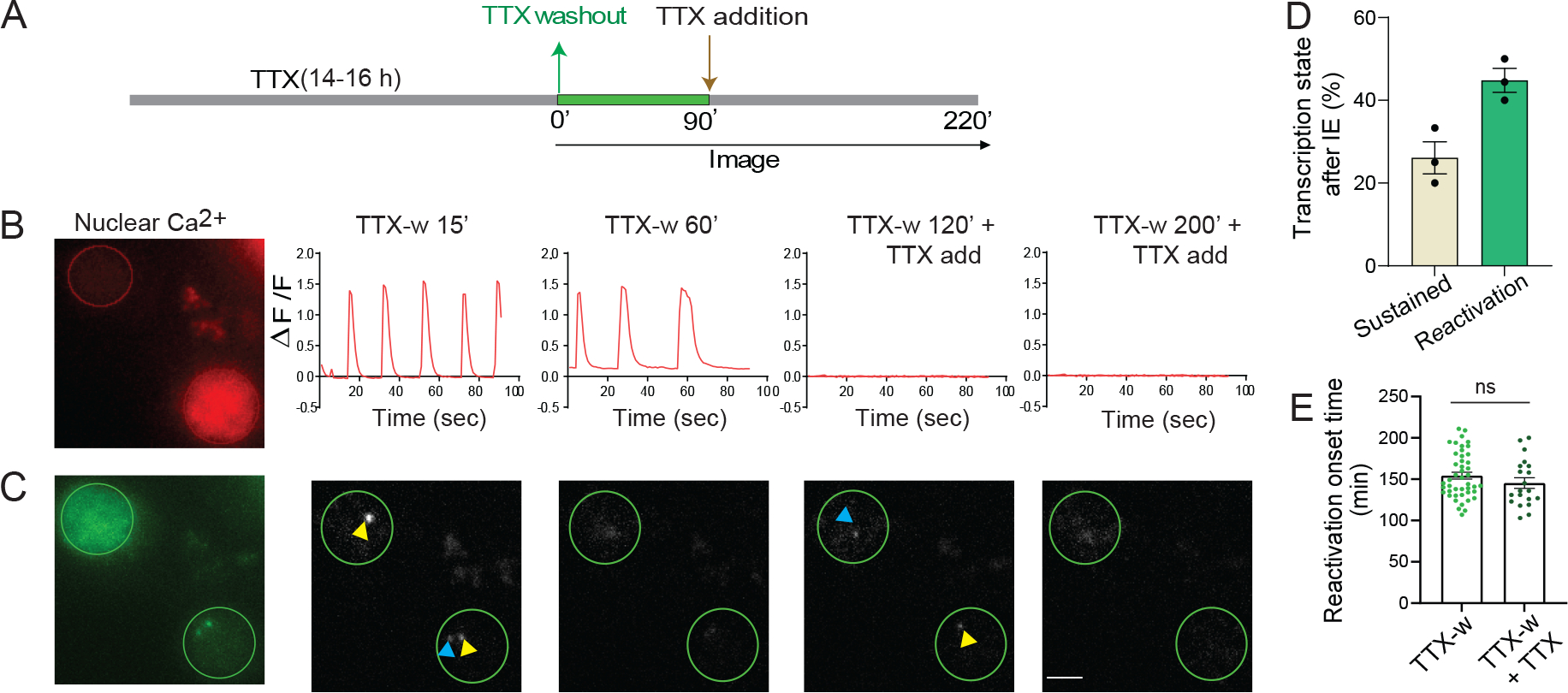 Figure 3: