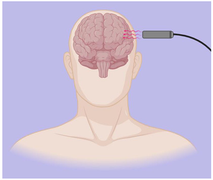 graphic file with name biomedicines-12-00438-i008.jpg