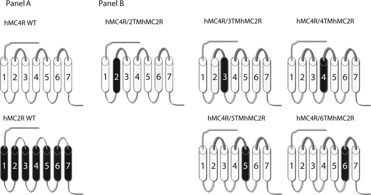 FIGURE 2.