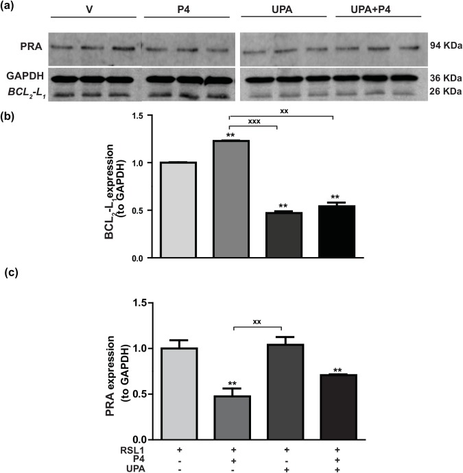 Fig 5