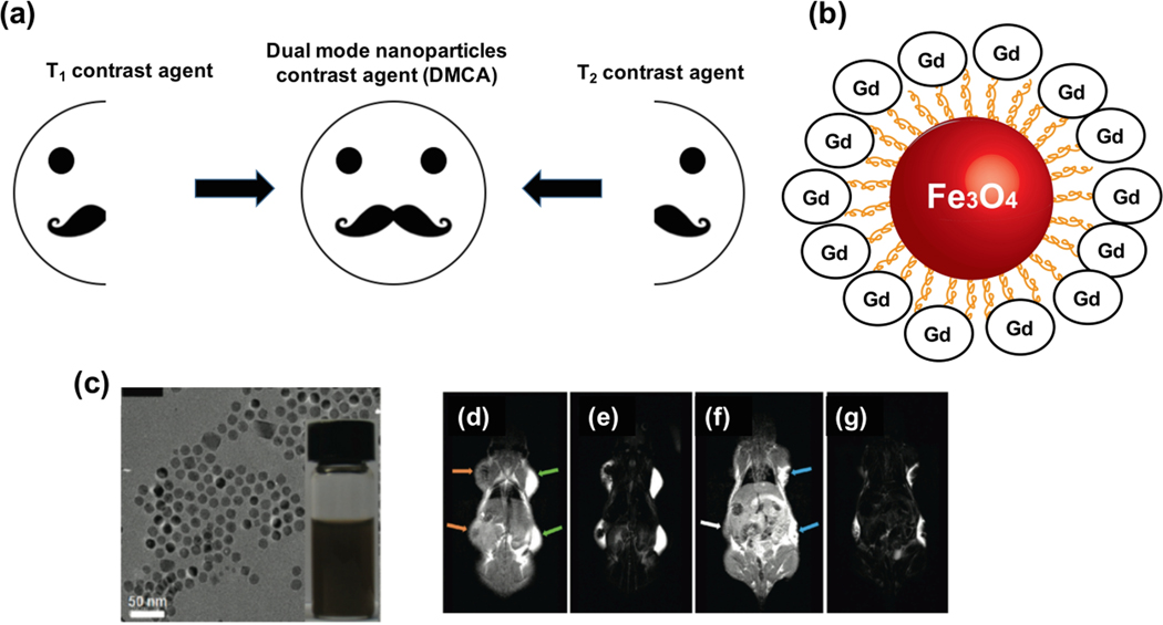 Figure 12.