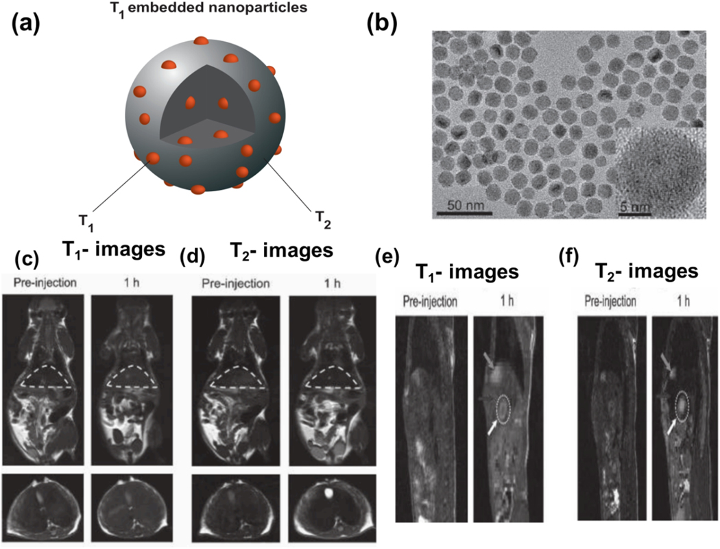 Figure 13.