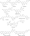 Figure 5