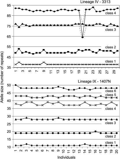 Figure 1.—