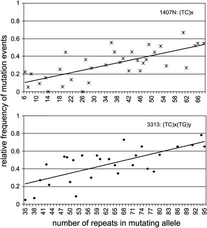 Figure 3.—