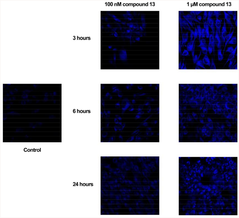 Figure 4-