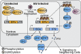 Fig. 7.