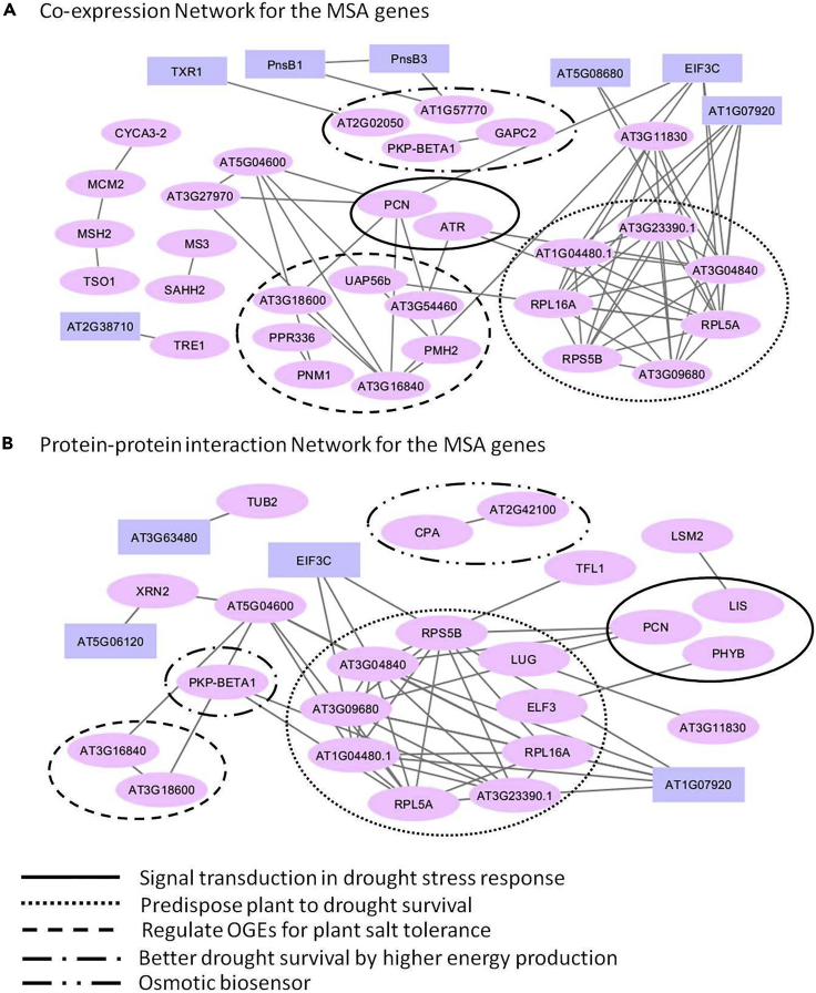 Figure 4