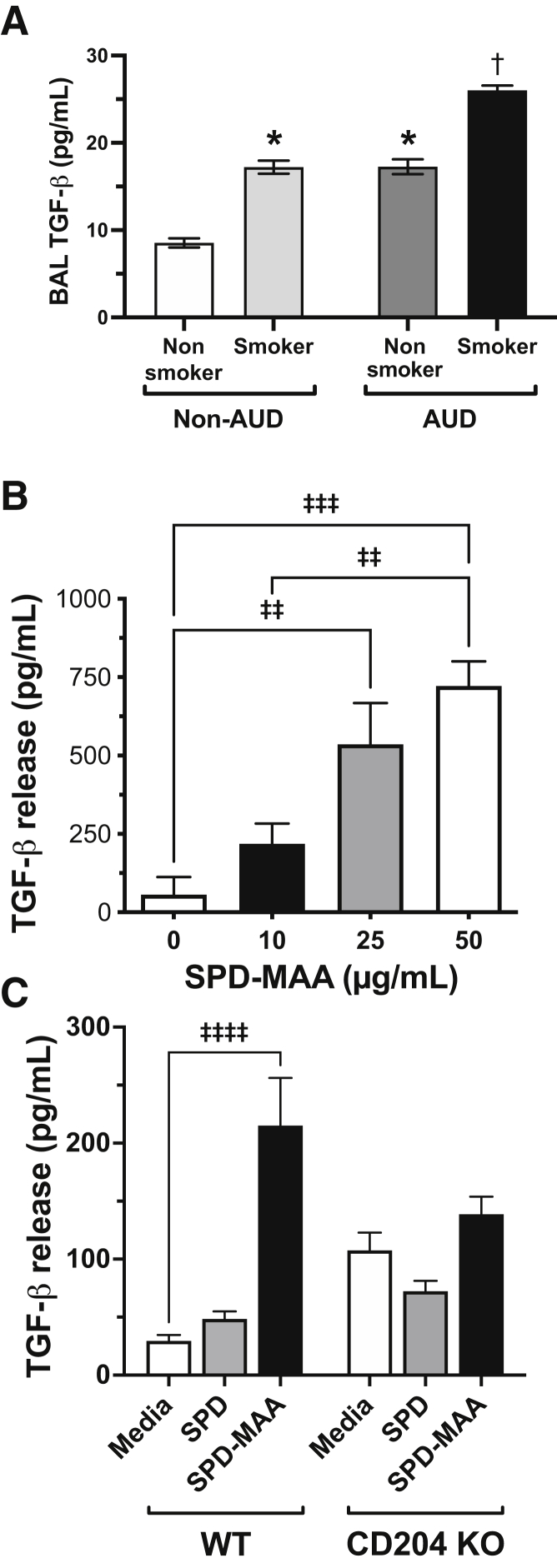 Figure 5