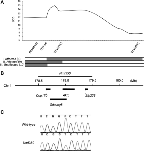 Figure 1.