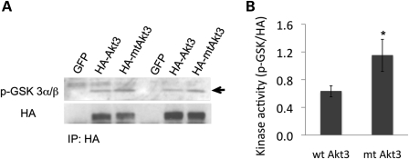 Figure 6.