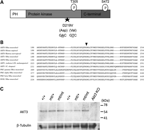 Figure 2.