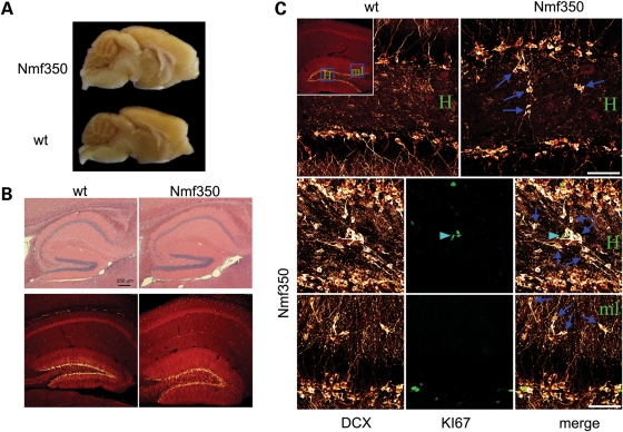 Figure 4.