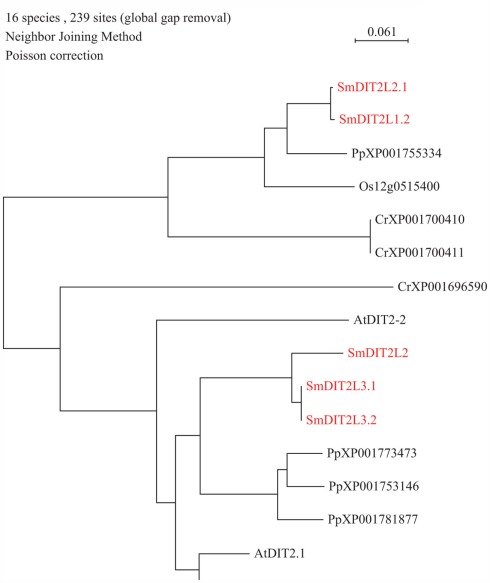 Figure 2