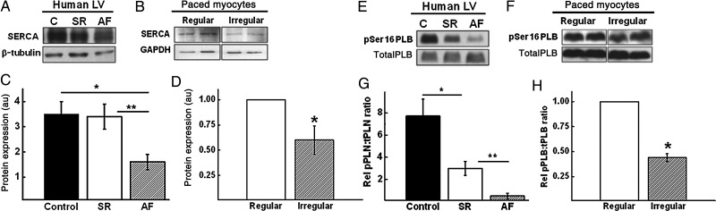 Figure 6