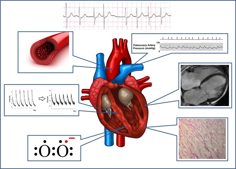 Figure 1