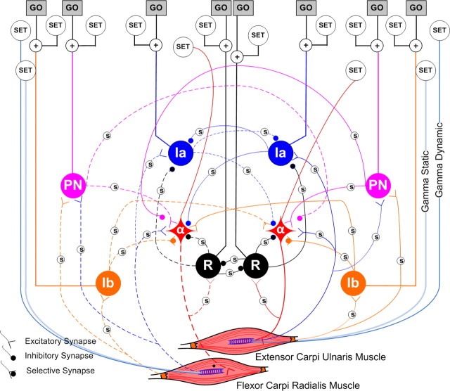 Figure 2.