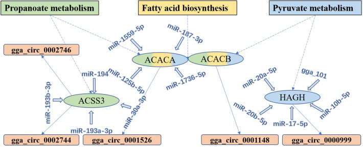 Fig 5