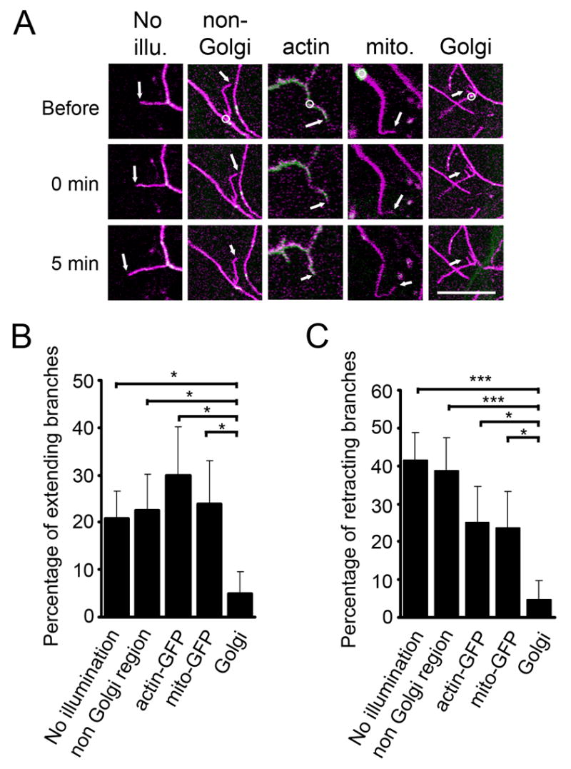 Figure 5