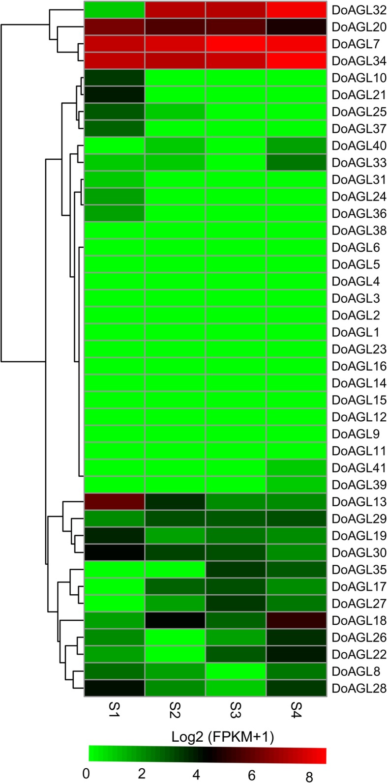 Fig. 7