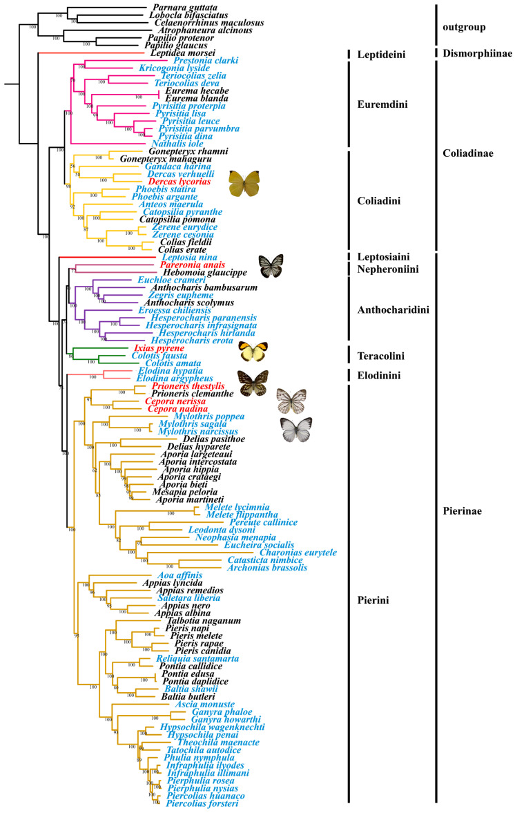 Figure 6