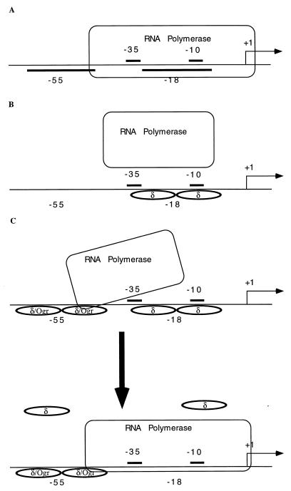 FIG. 8