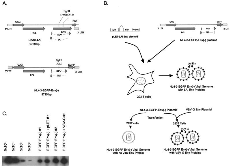 FIG. 1