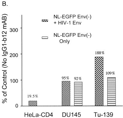 FIG. 6