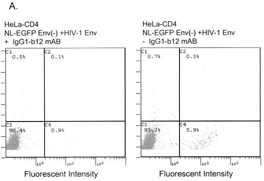 FIG. 6