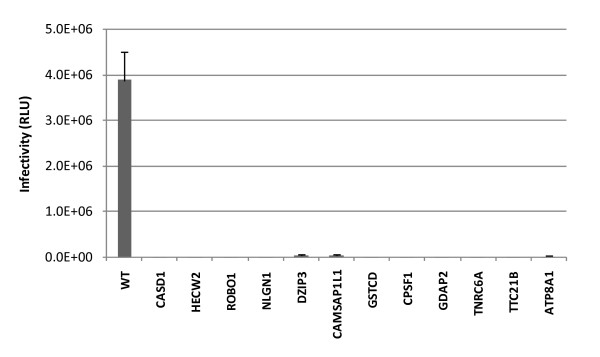 Figure 10