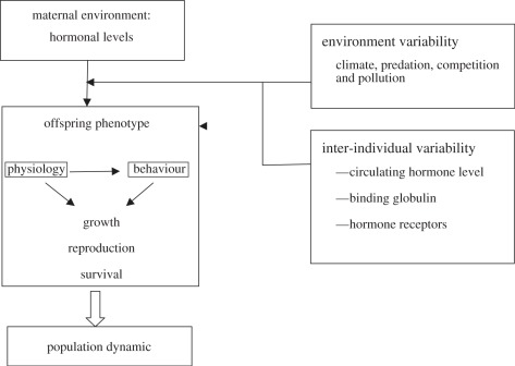 Figure 2.