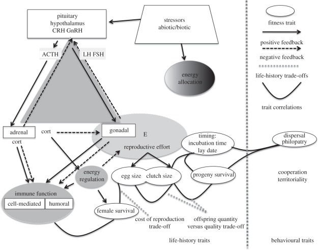 Figure 1.