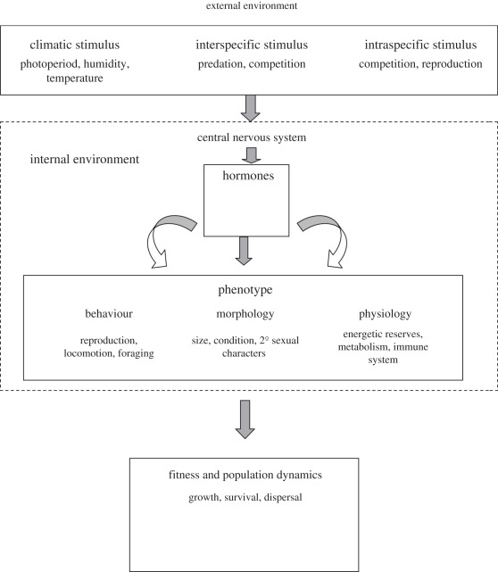 Figure 3.