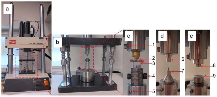 Fig. 9