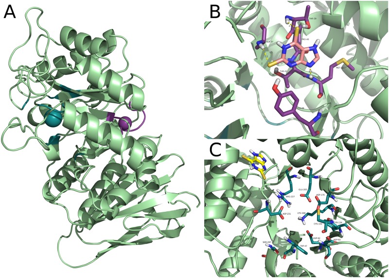 Fig 1