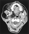 F<sc>ig</sc> 2.