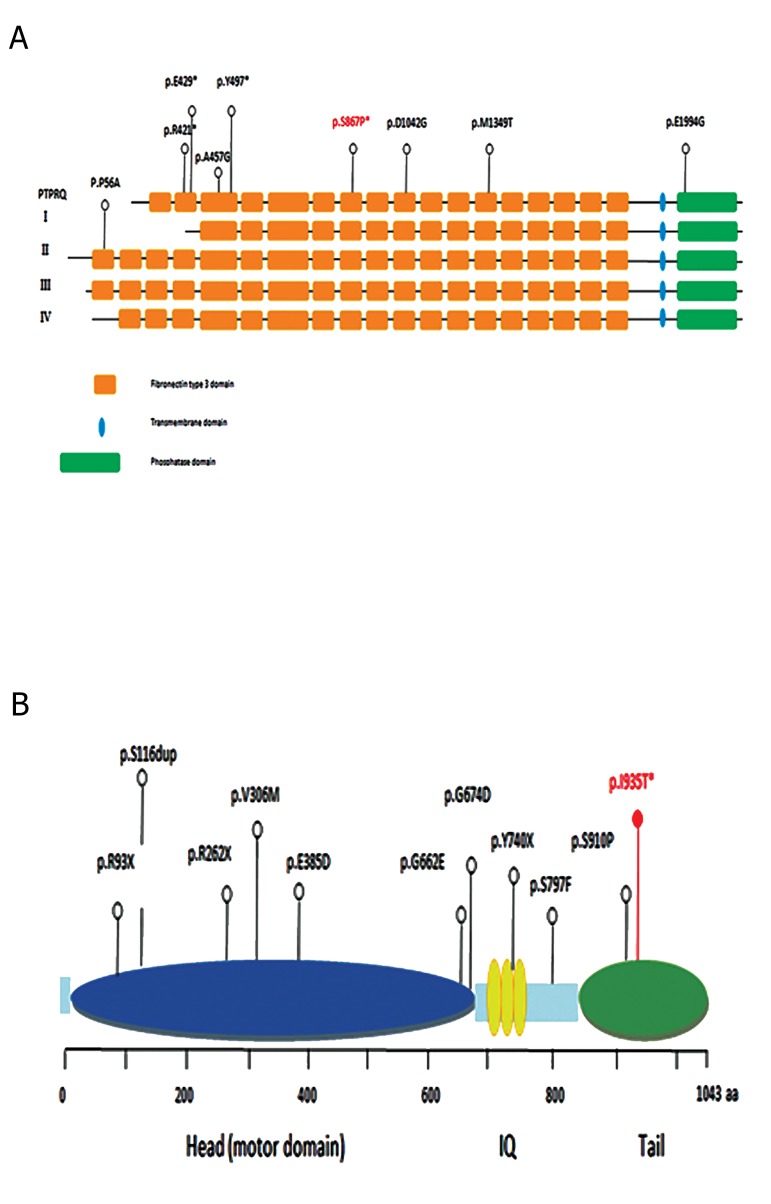 Fig.2