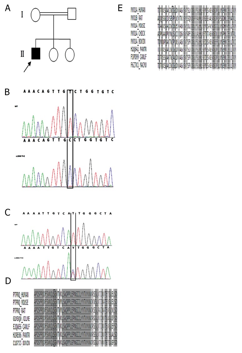 Fig.1