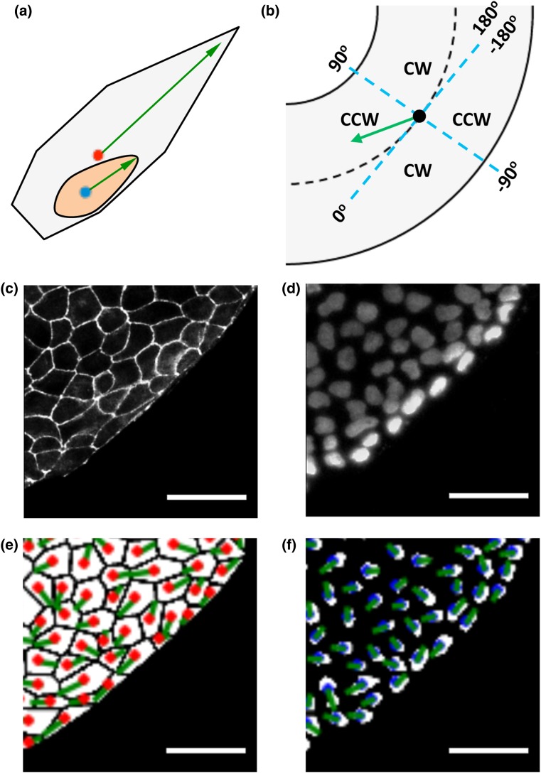 Figure 1