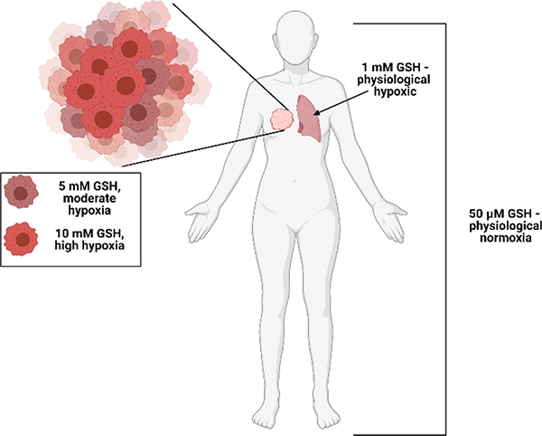 Figure 6: