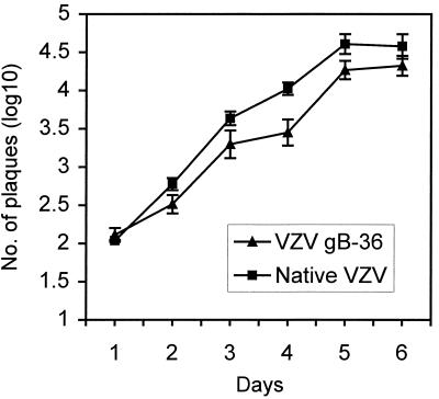 FIG. 3.