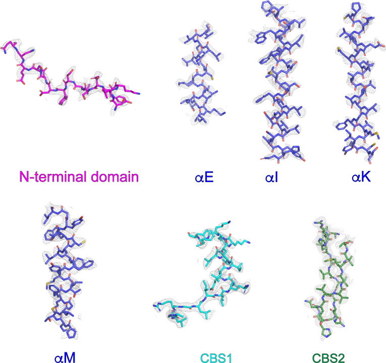 Figure 1—figure supplement 3.