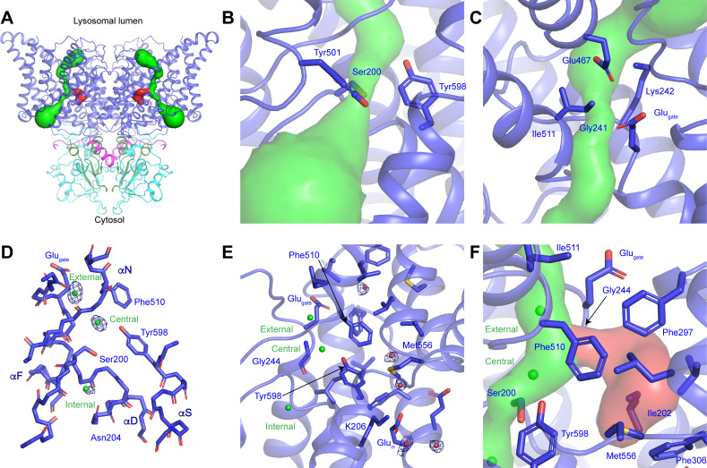 Figure 2.