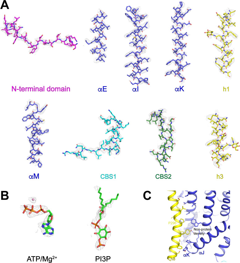 Figure 5—figure supplement 3.