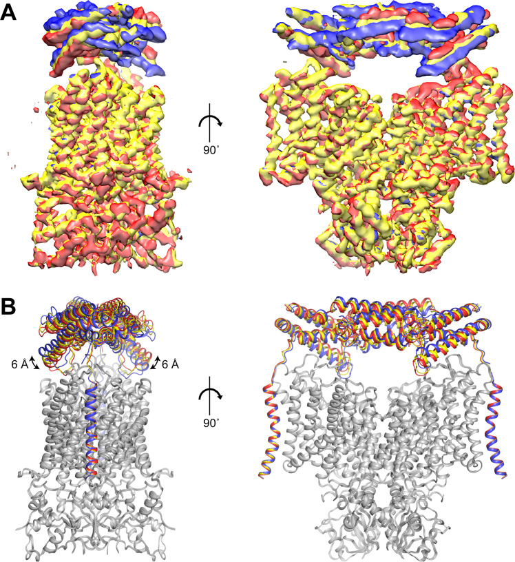 Figure 5—figure supplement 2.