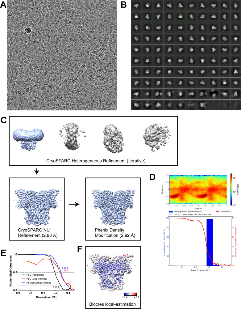 Figure 1—figure supplement 2.